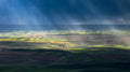 Sun rain is coming Poster och Canvastavla