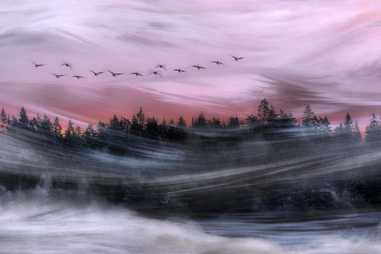 Leaving at dawn Poster och Canvastavla