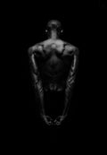 Black Back Poster och Canvastavla