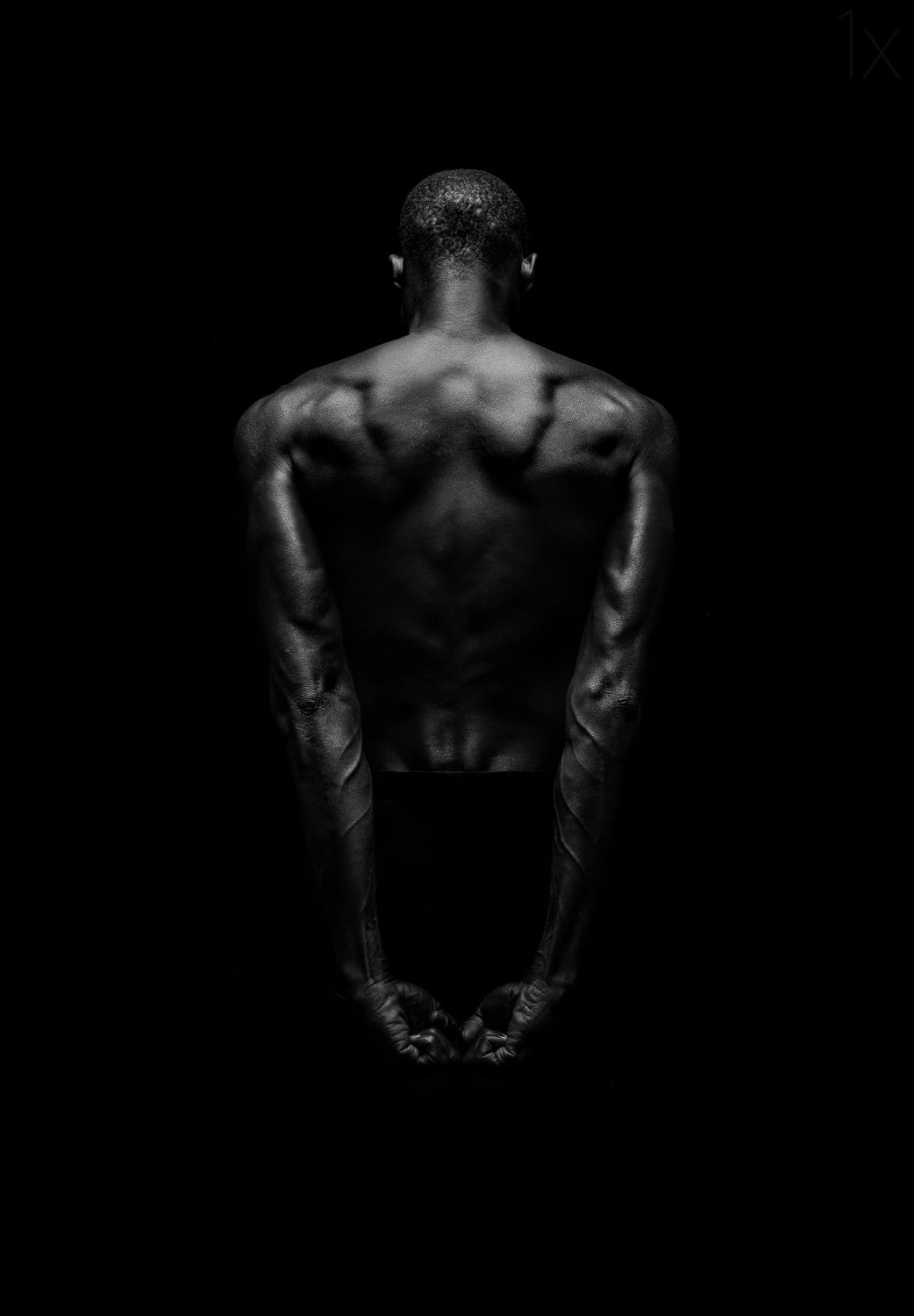 Black Back Poster och Canvastavla