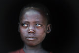 Cerulean eyes Poster och Canvastavla