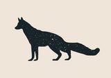 Fuchs Poster och Canvastavla