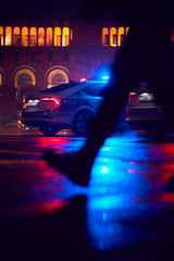 Police Poster och Canvastavla