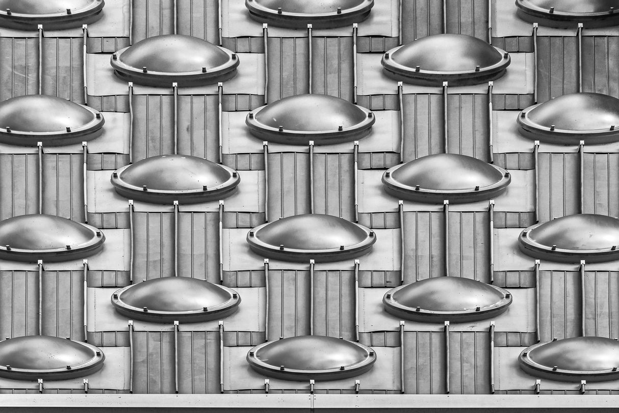 Domes Poster och Canvastavla