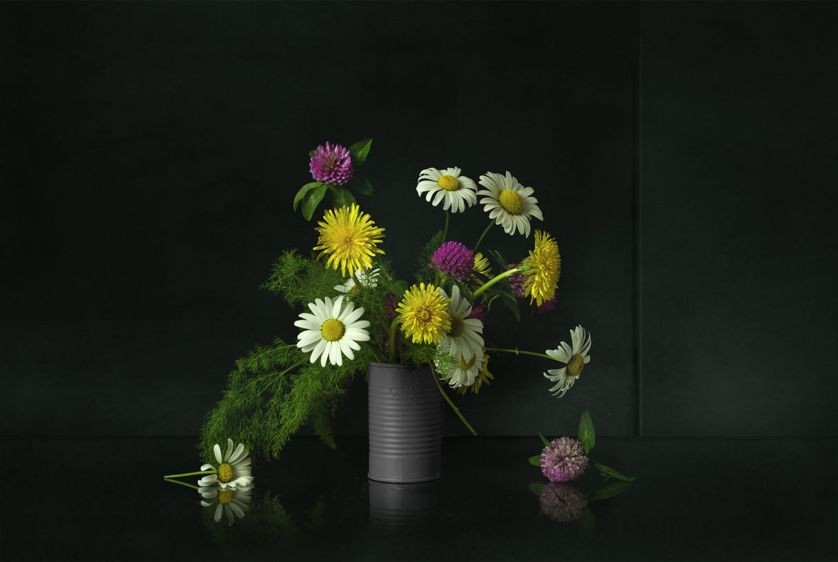 Still Life 2317 Poster och Canvastavla