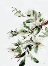 Bloom Poster och Canvastavla