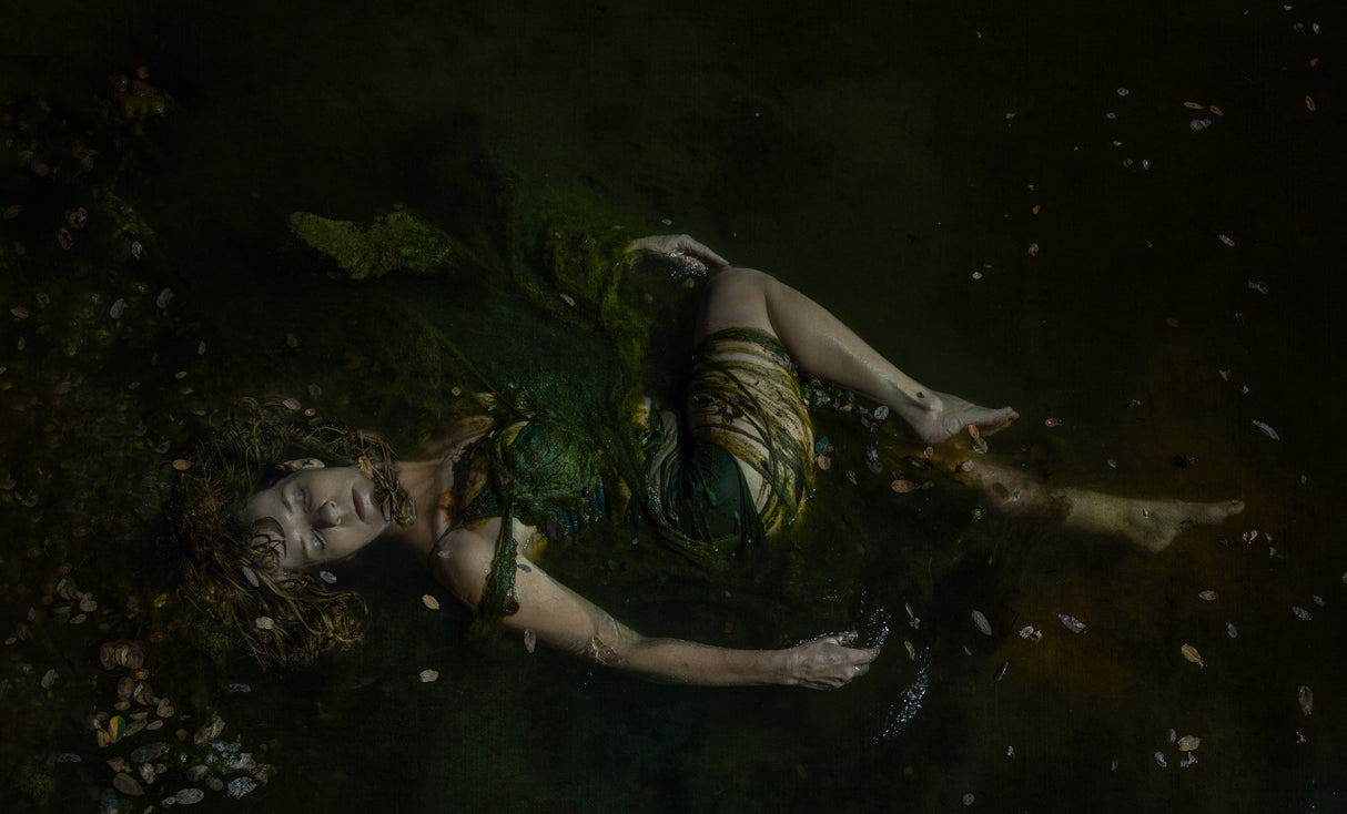 '...it is a river, that drowns the tender reed...' Poster och Canvastavla