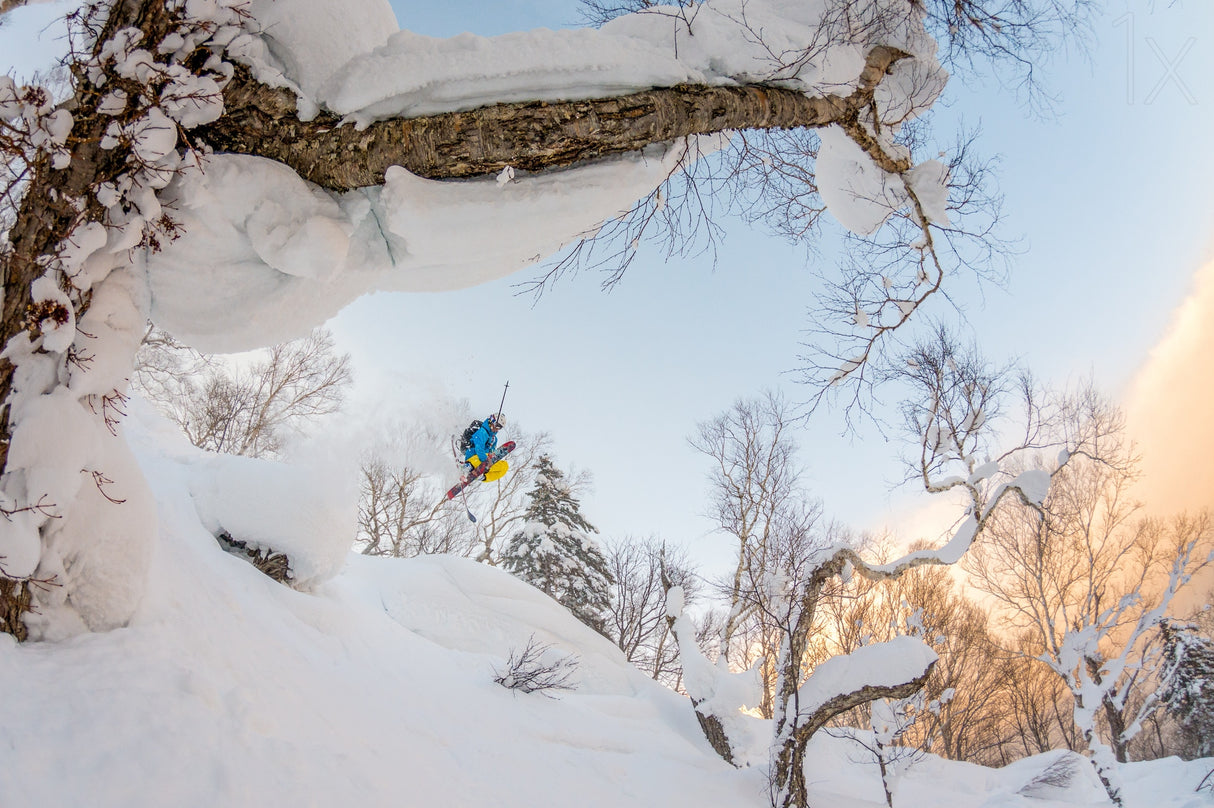 Pillow drop with Benjamin Etienne Poster och Canvastavla