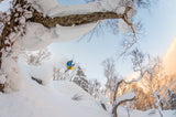 Pillow drop with Benjamin Etienne Poster och Canvastavla
