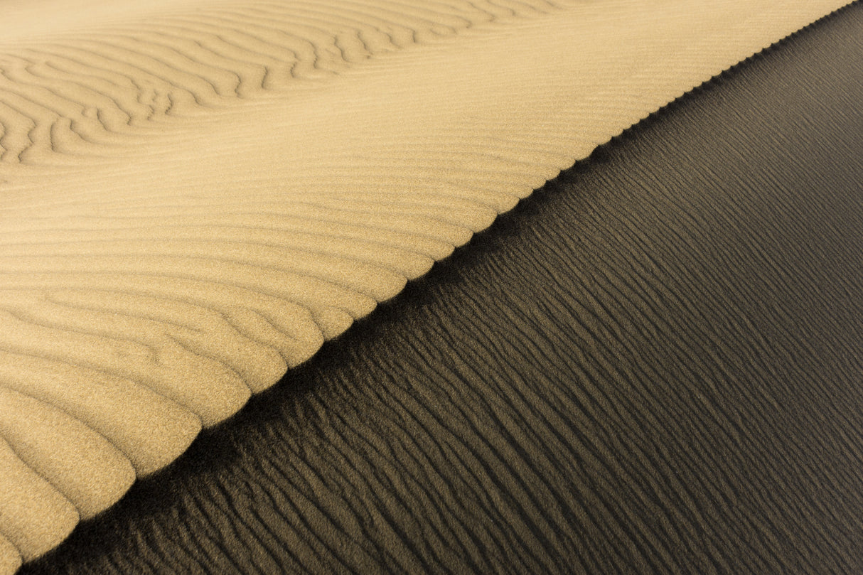 Light &amp; Shadow in desert Poster och Canvastavla