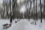 Winter park Poster och Canvastavla