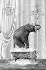 Elephant &amp; Bubbles Black &amp; White Poster och Canvastavla