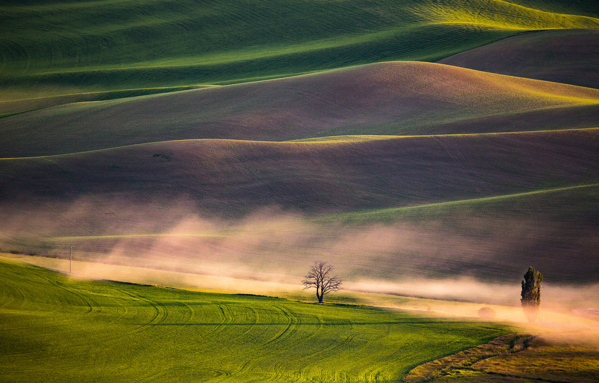 Sunset in Palouse Poster och Canvastavla