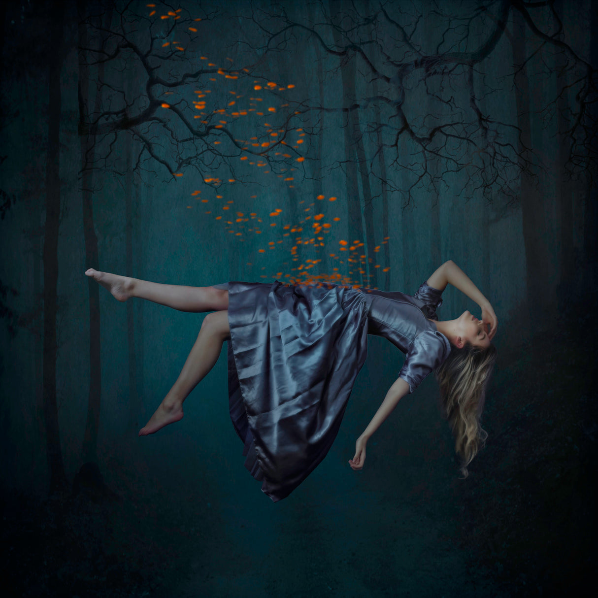 Blue Forest Poster och Canvastavla