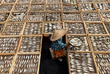 Drying Fish Poster och Canvastavla