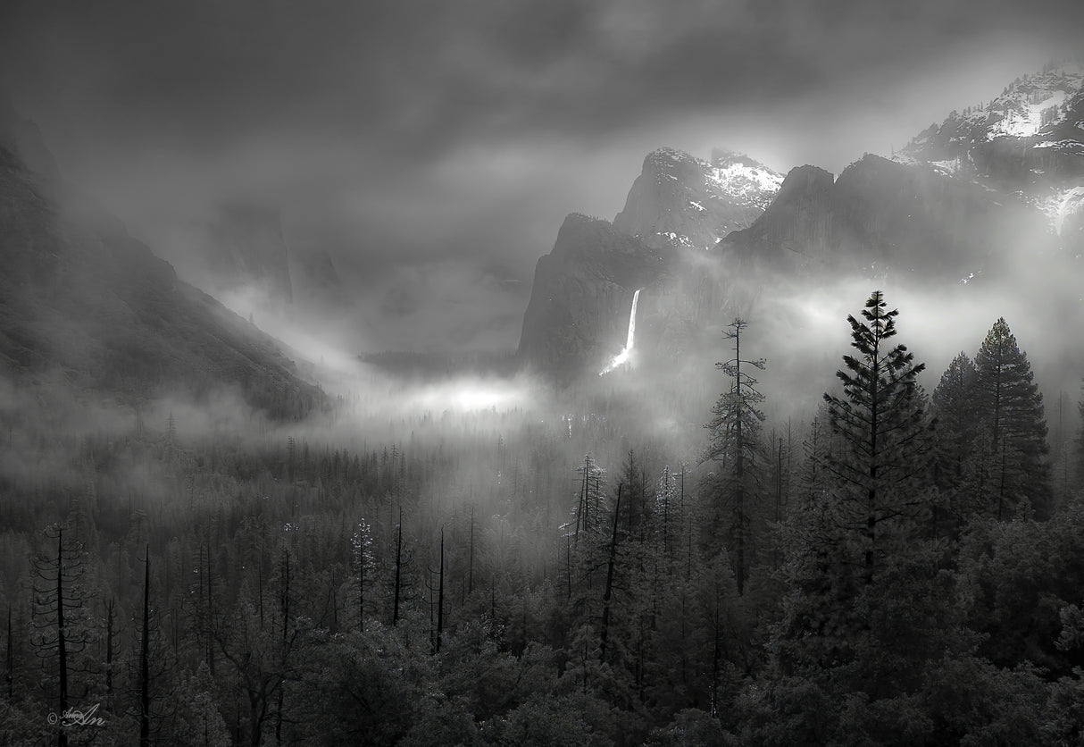 Foggy Yosemite Valley Poster och Canvastavla