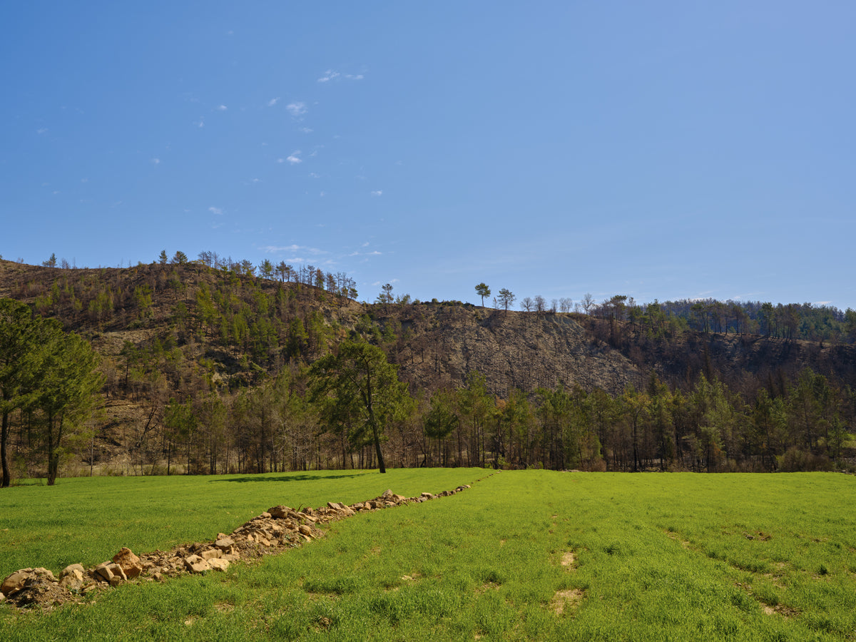 peaceful landscape in a rural place Poster och Canvastavla