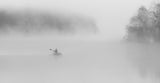 Foggy_Morning Poster och Canvastavla