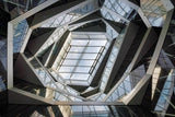 Looking up Poster och Canvastavla