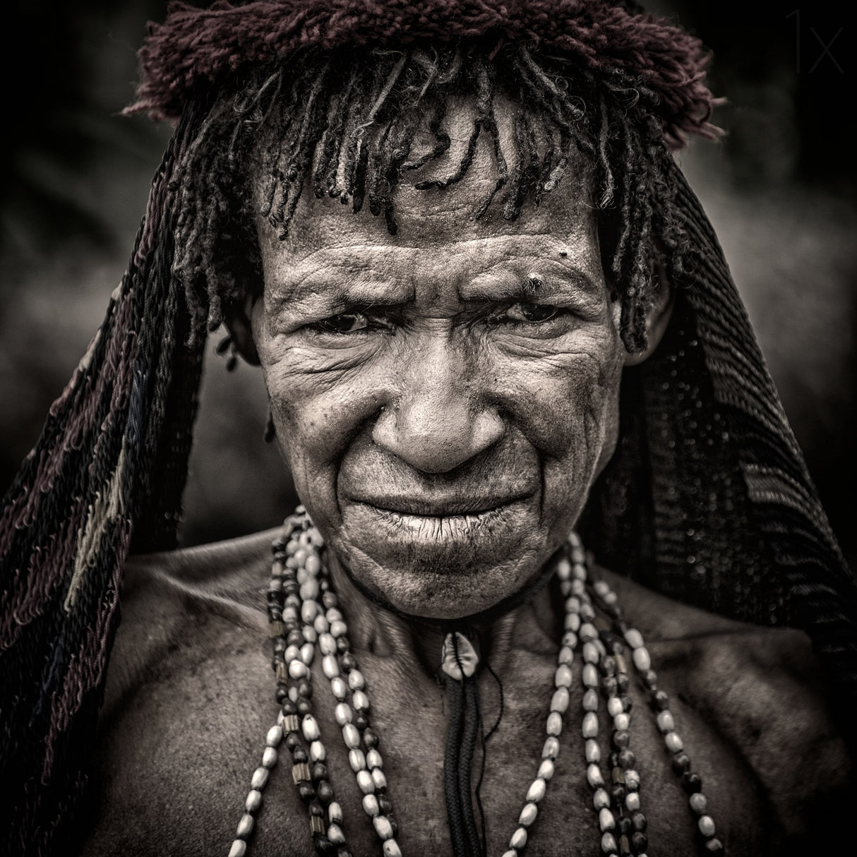 woman from dani tribe Poster och Canvastavla