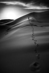 Sea of Sand Poster och Canvastavla