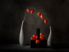 Hanging red lantern Poster och Canvastavla
