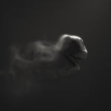 Dark Poster och Canvastavla