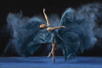 Rasa Ballerina Poster och Canvastavla