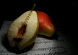 still life Poster och Canvastavla