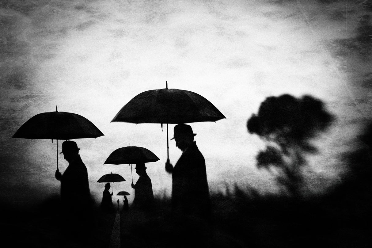 " Darkened Days To Come " Poster och Canvastavla