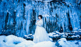 Snow Beauty II Poster och Canvastavla