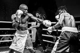 Boxing ll Poster och Canvastavla
