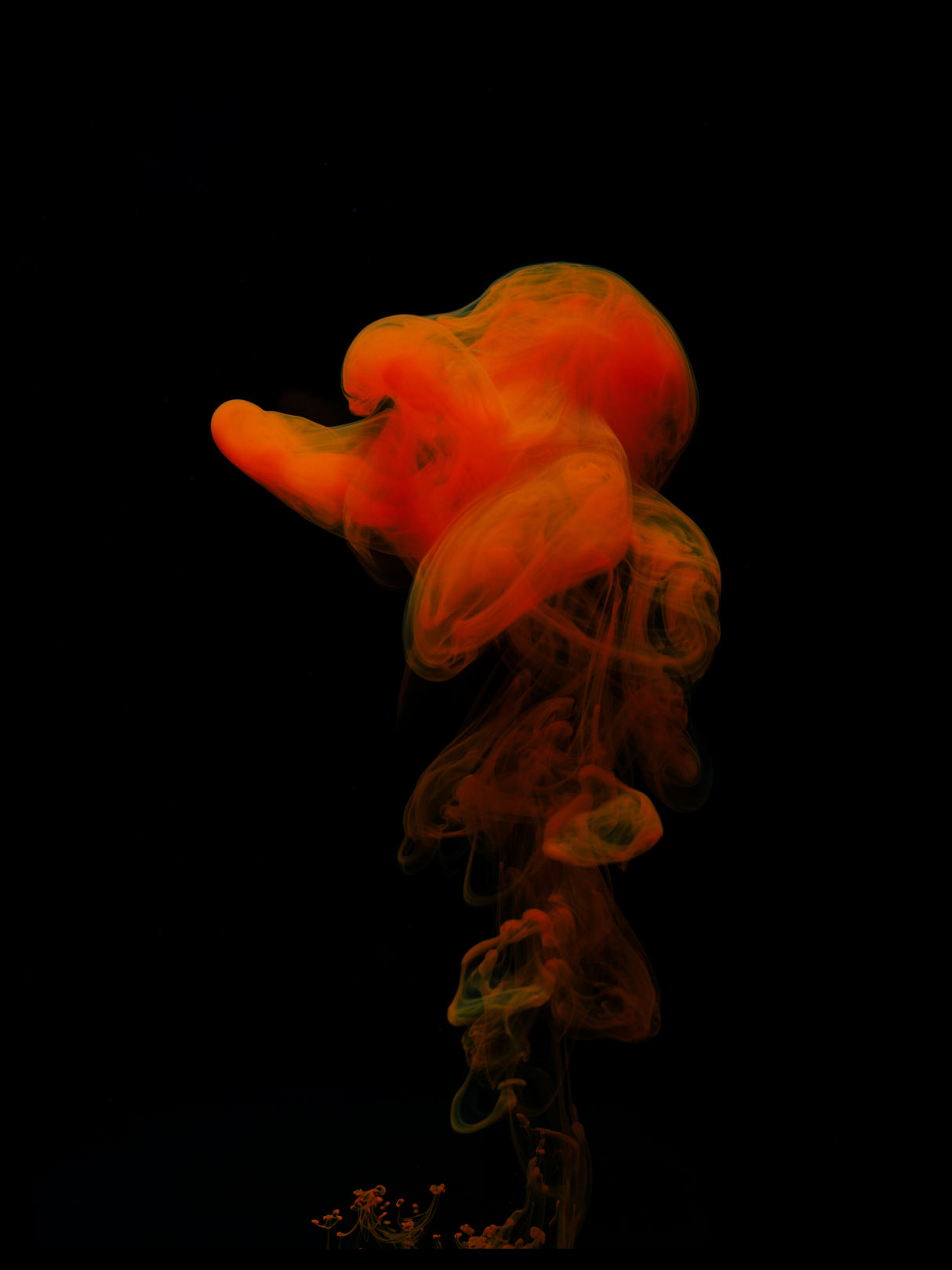 Abstract color paint splash Poster och Canvastavla