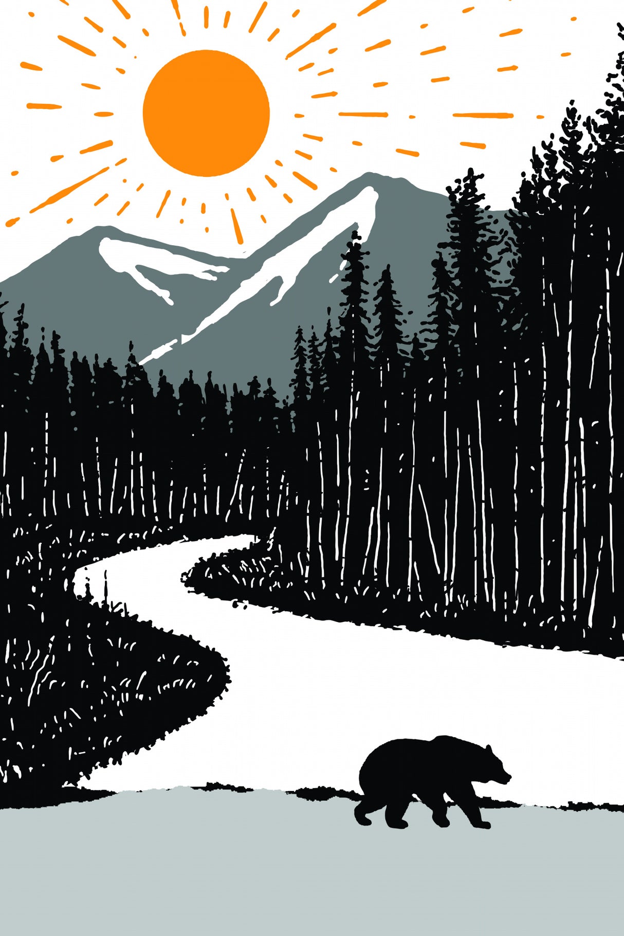 Bear By the River Poster och Canvastavla
