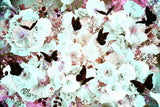 Summer Breeze Victorian Poster och Canvastavla