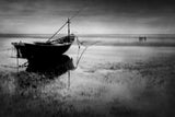 Down to the empty sea Poster och Canvastavla