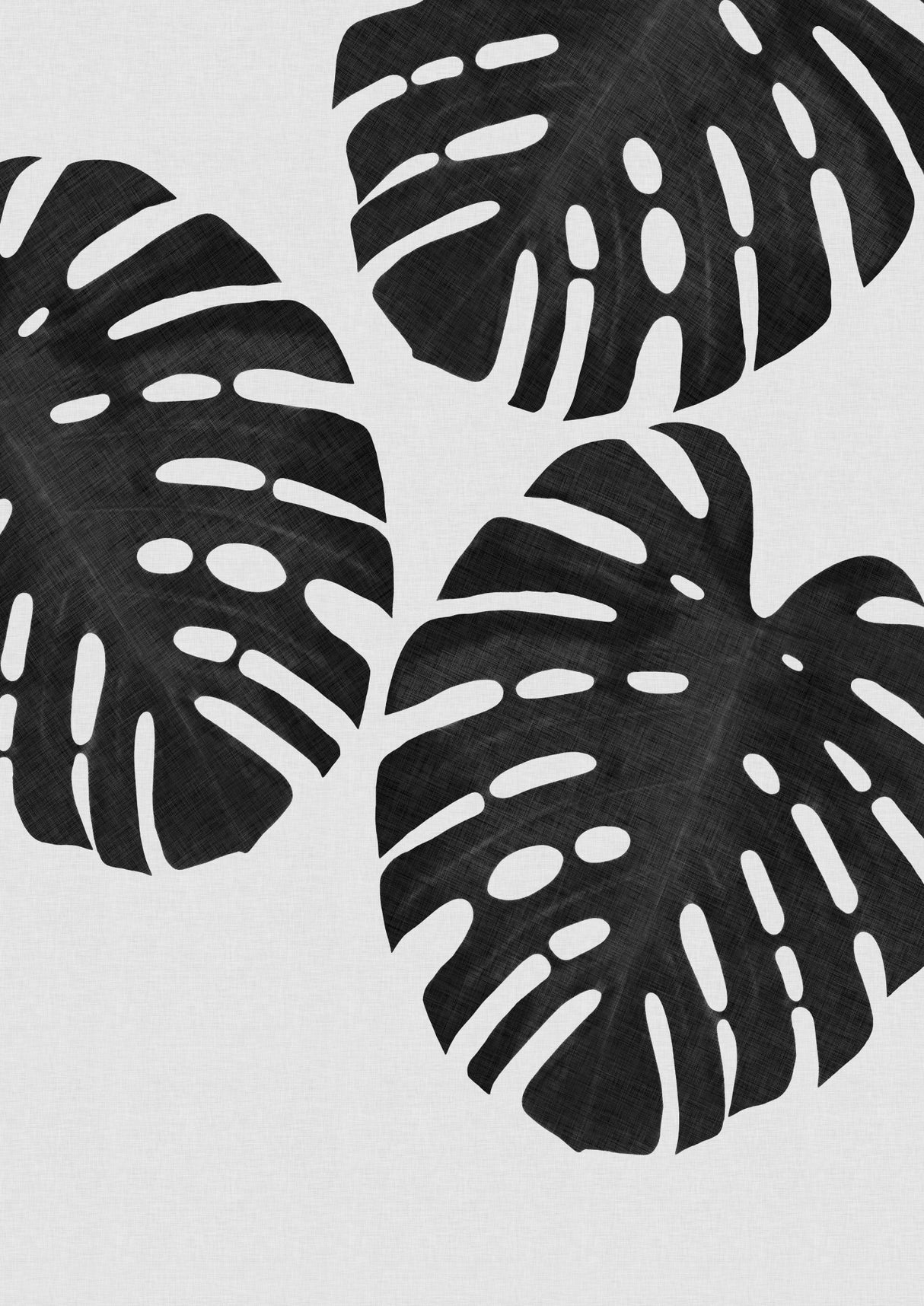 Monstera Leaf Black &amp; White III Poster och Canvastavla