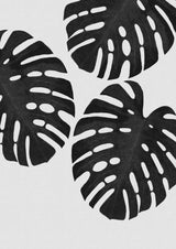 Monstera Leaf Black &amp; White III Poster och Canvastavla
