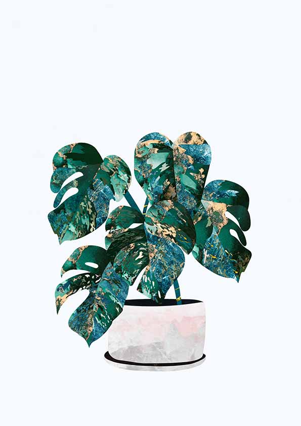 Monstera krukväxt poster
