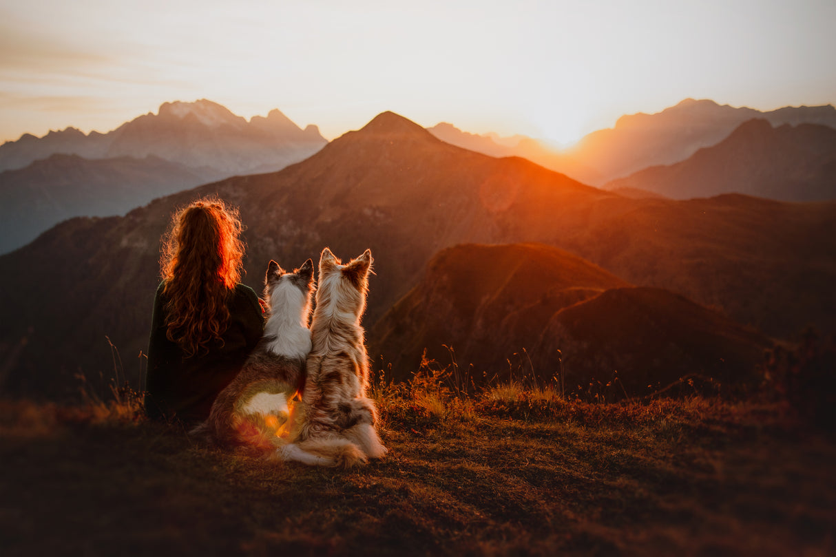 Sunset vibe Poster och Canvastavla