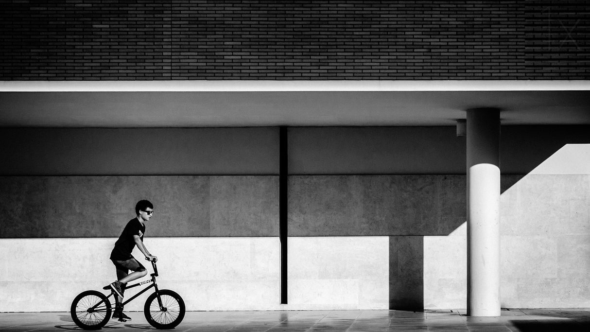 shades of gray.. Poster och Canvastavla