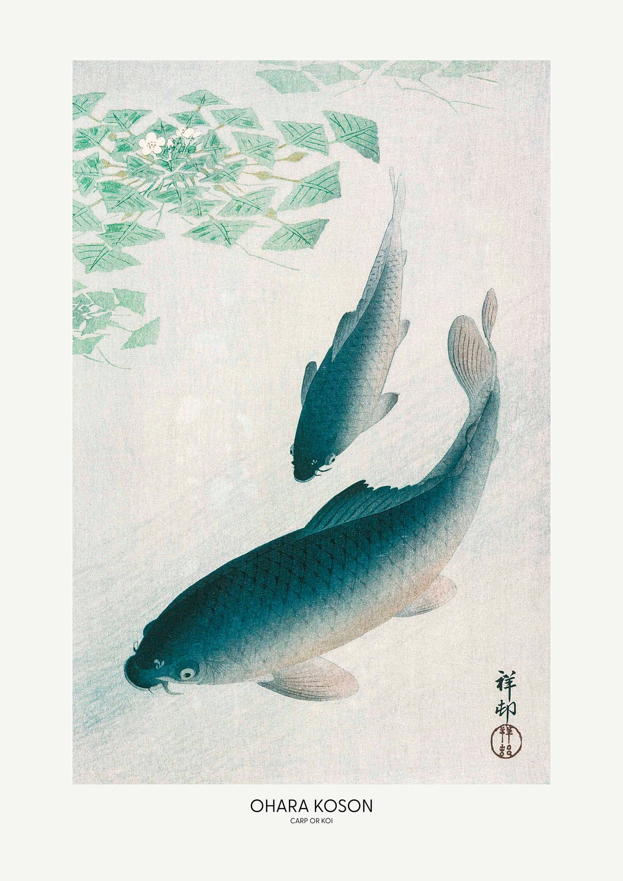 Carp Or Koi poster