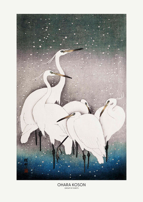 Group Of Egrets poster
