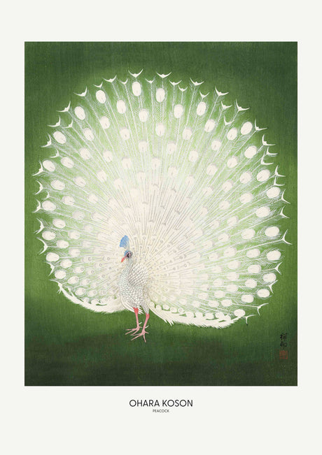 Peacock - Wide poster
