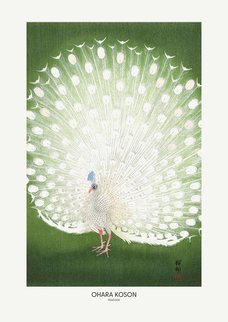 Peacock - Cropped poster