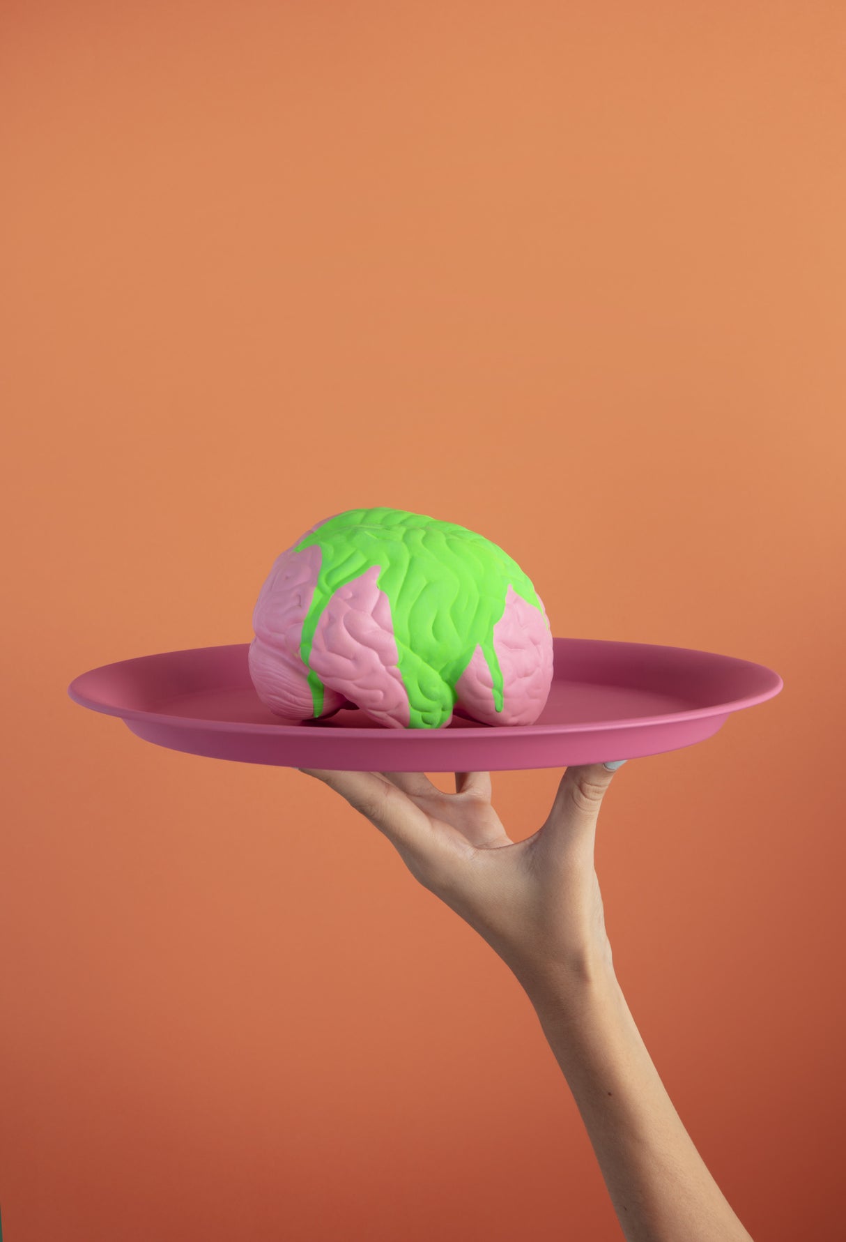 Brain4dinner Poster och Canvastavla