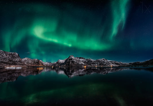 Lofoten Aurora Reflection Poster och Canvastavla