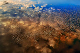Flamingos over the clouds Poster och Canvastavla