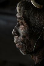 Konyak elder, Nagaland, India Poster och Canvastavla
