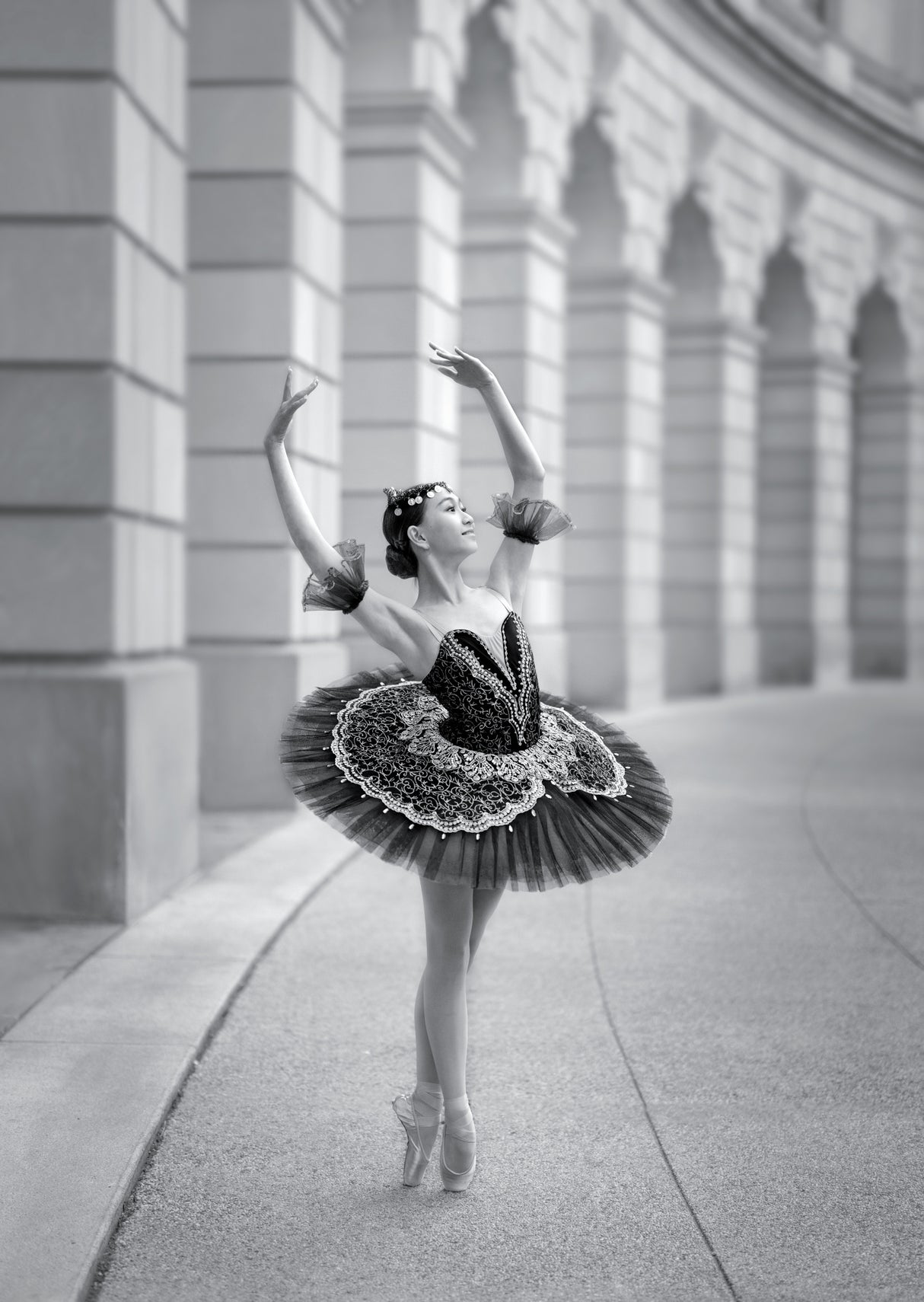 Ballerina in DC Poster och Canvastavla